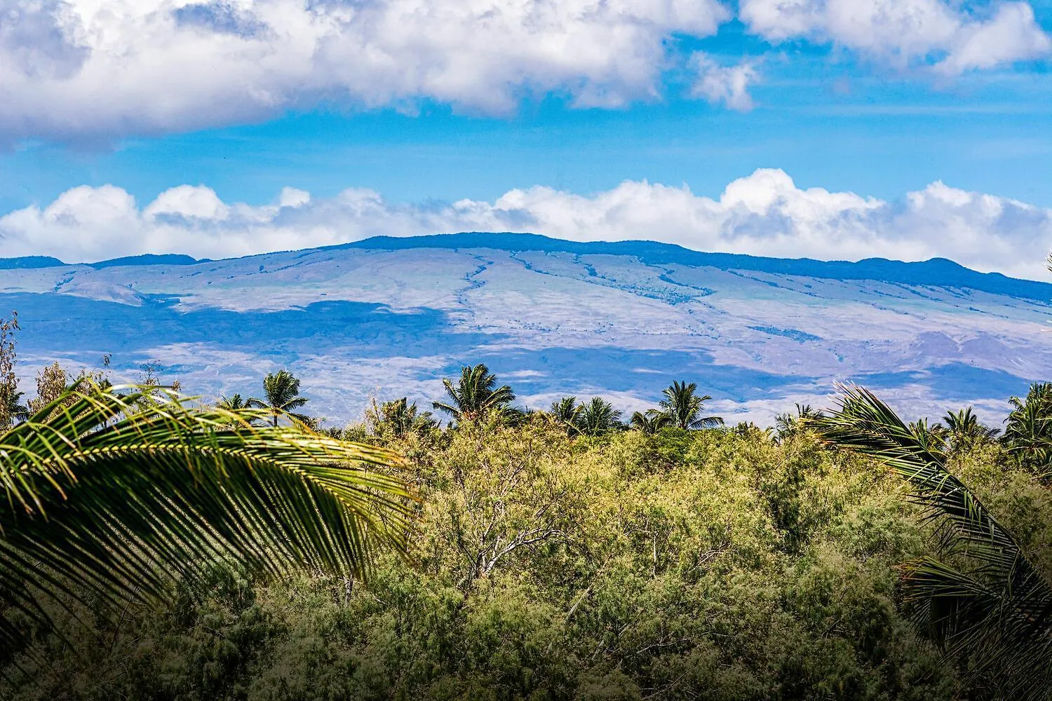 Fairway Villas Waikoloa G31 United States