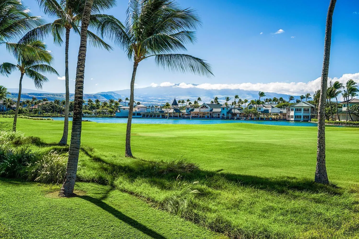 Fairway Villas Waikoloa G31 United States