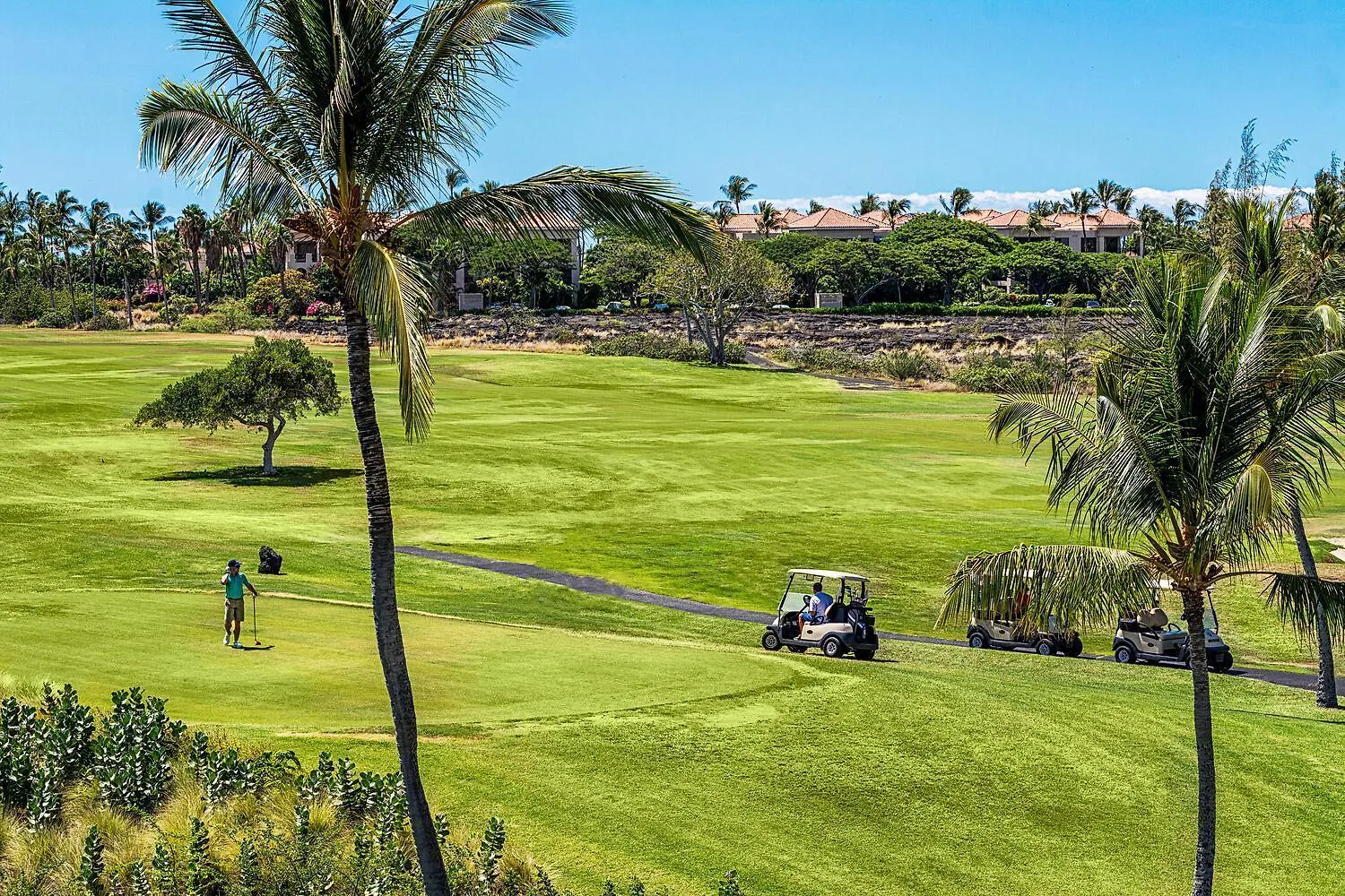 Fairway Villas Waikoloa G31